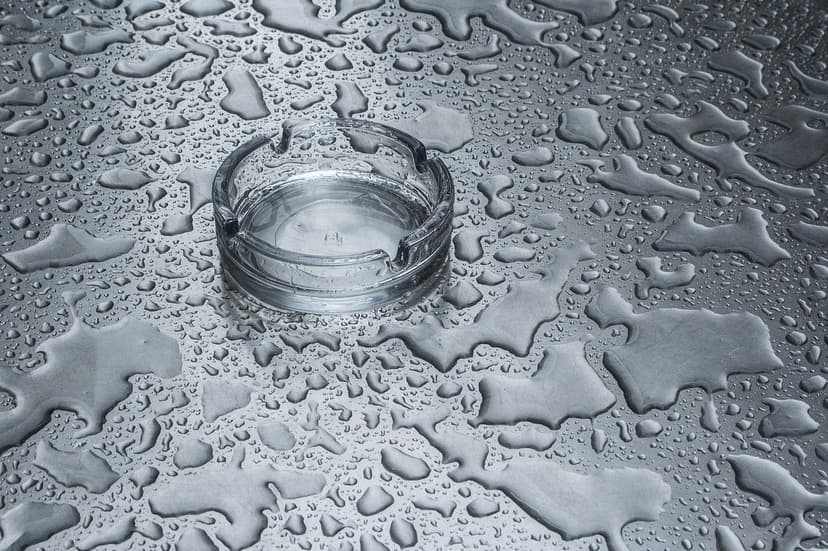 Descripción larga de la categoría